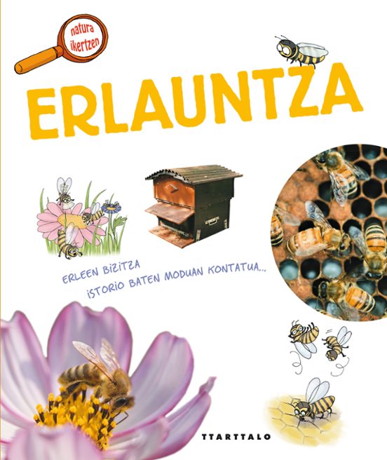 Erlauntza