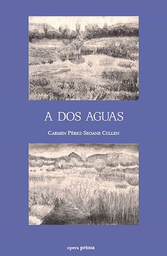 A Dos Aguas