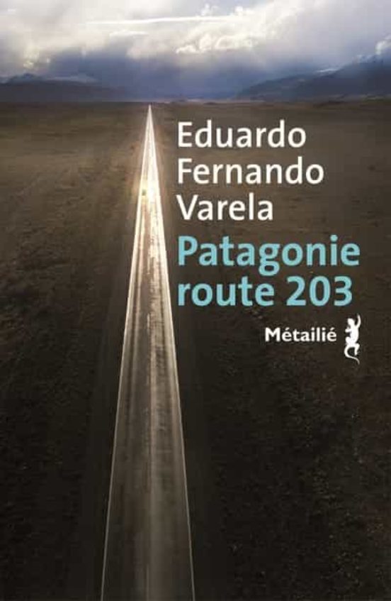 Patagonie Route 203