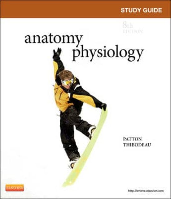 Study Guide For Anatomy And Physiology