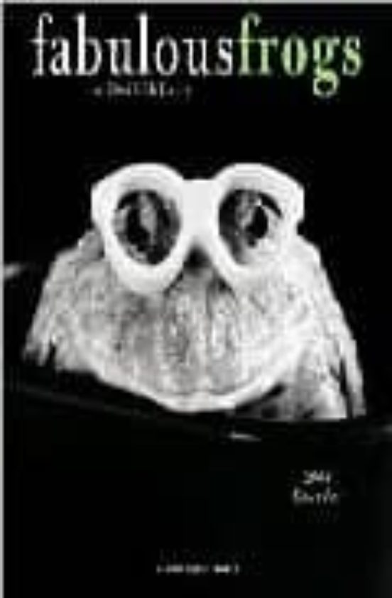 Faboulous Frog 2008