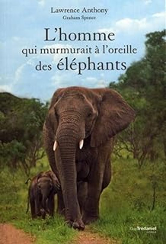 L Homme Qui Murmurait À L Oreille Des Éléphants