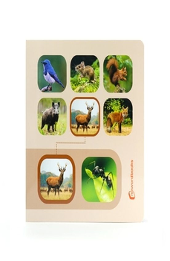 Busca Y Encuentra Animales Del Bosque