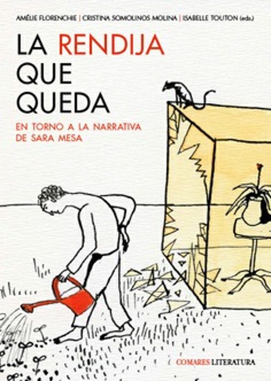Rendija Que Queda. En Torno A La Narrativa De Sara Mesa