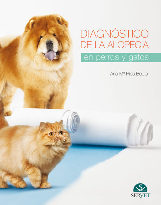 Diagnóstico De La Alopecia En Perros Y Gatos