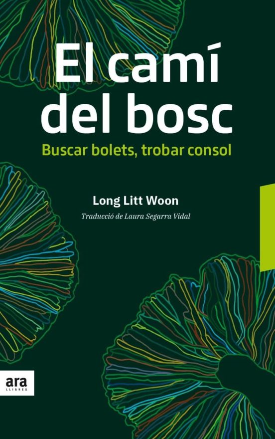 El Camí Del Bosc