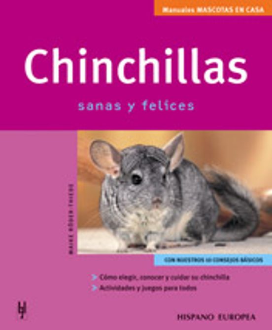 Chinchillas Sanas Y Felices