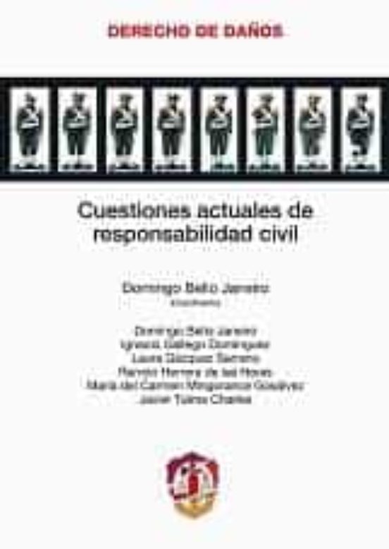 Cuestiones actuales de responsabilidad civil