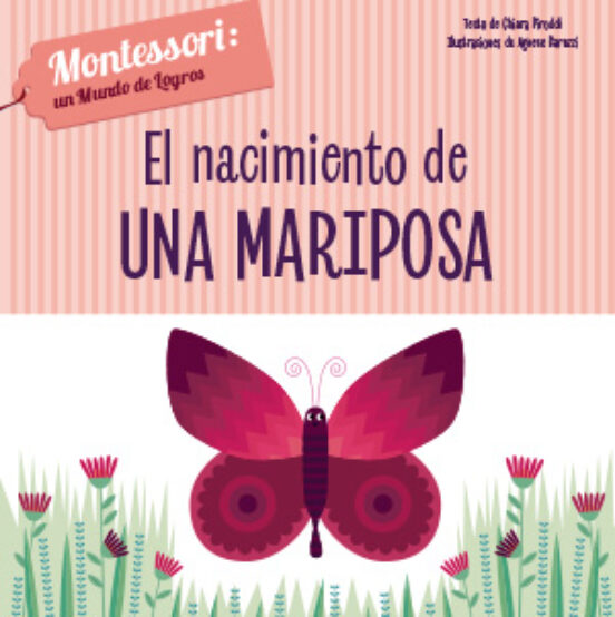 Mundo De Logros :nacimiento De Una Mariposa