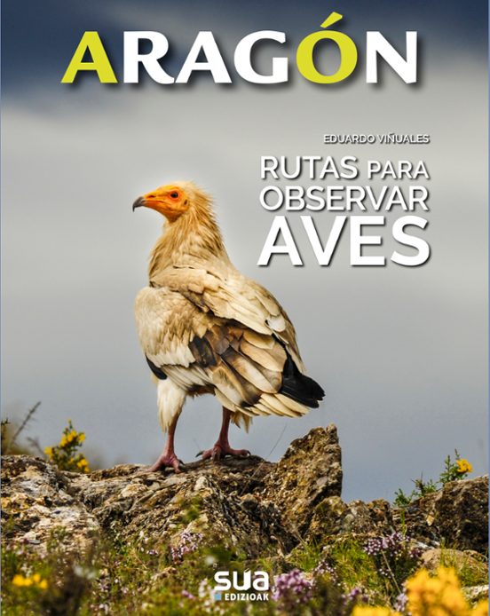 Aragon. Rutas Para Observar Aves