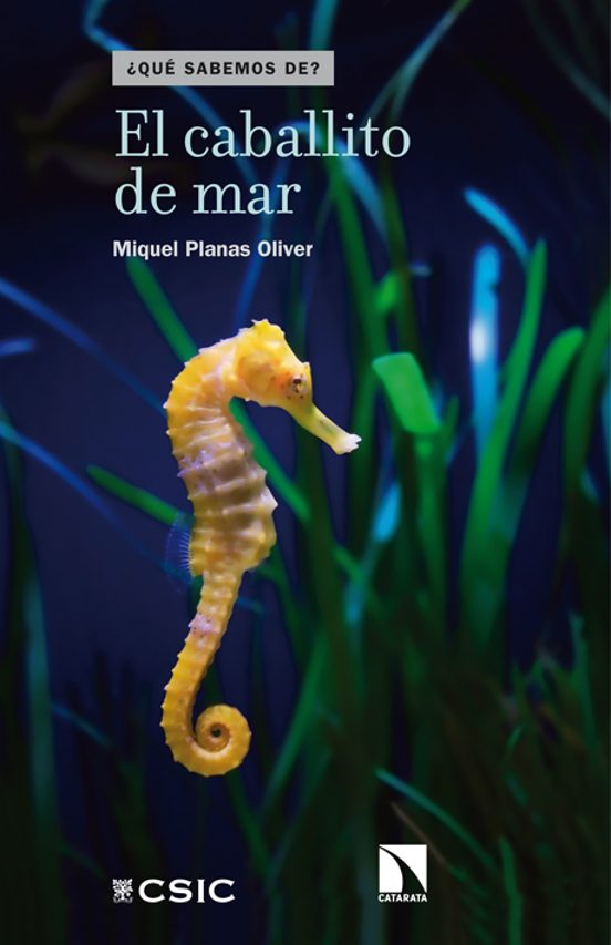El Caballito De Mar