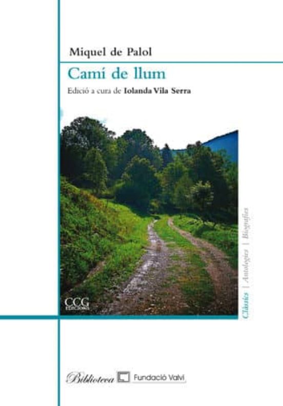 Cami De Llum