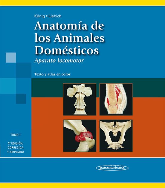 Anatomia De Los Animales Domesticos : El Aparato Locomoto R