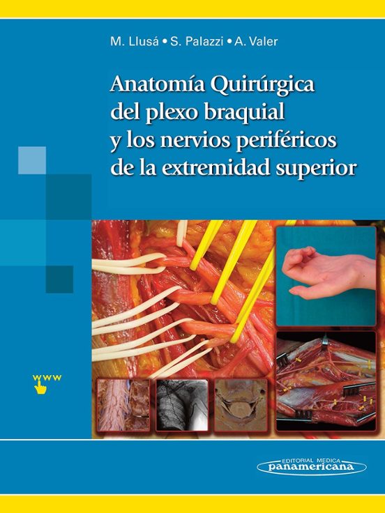 Anatomía Quirúrgica Del Plexo Braquial Y Nervios Periféricos De La Ex