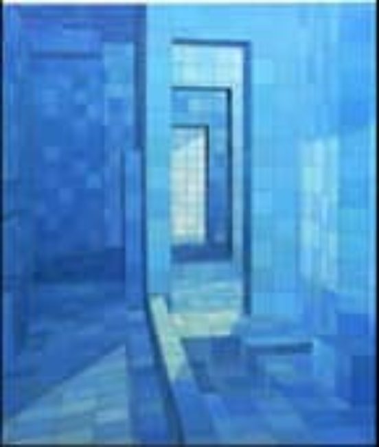 Adriana Varejao: Chambre Dechos = Echo Chamber