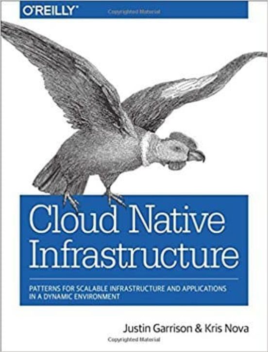 Cloud Native Infrastructure: Patterns For Scalable Infrastructure And