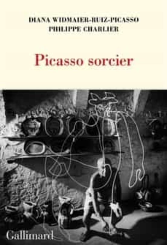 Picasso Sorcier