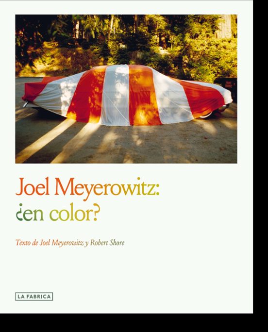 Joel Meyerowitz: ¿en Color?