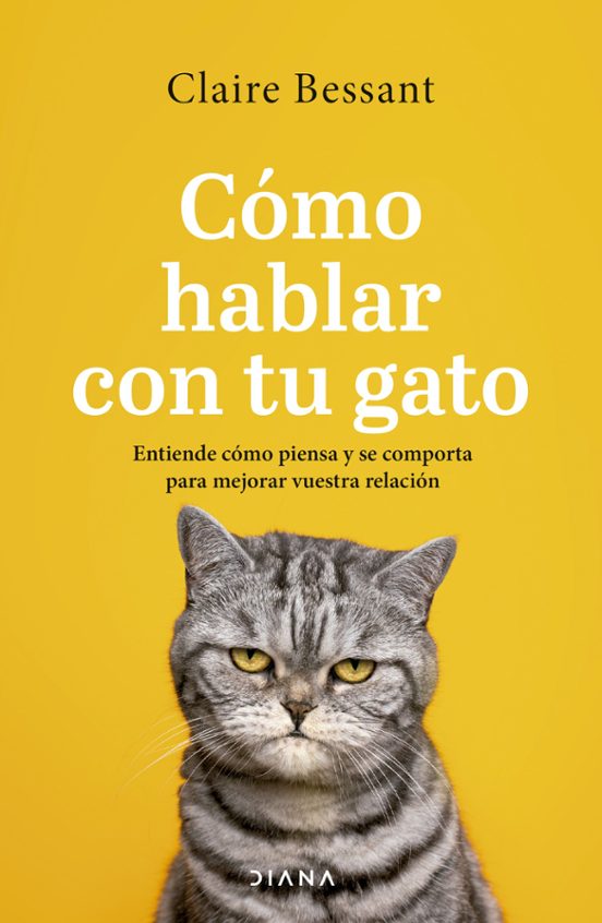Cómo Hablar Con Tu Gato