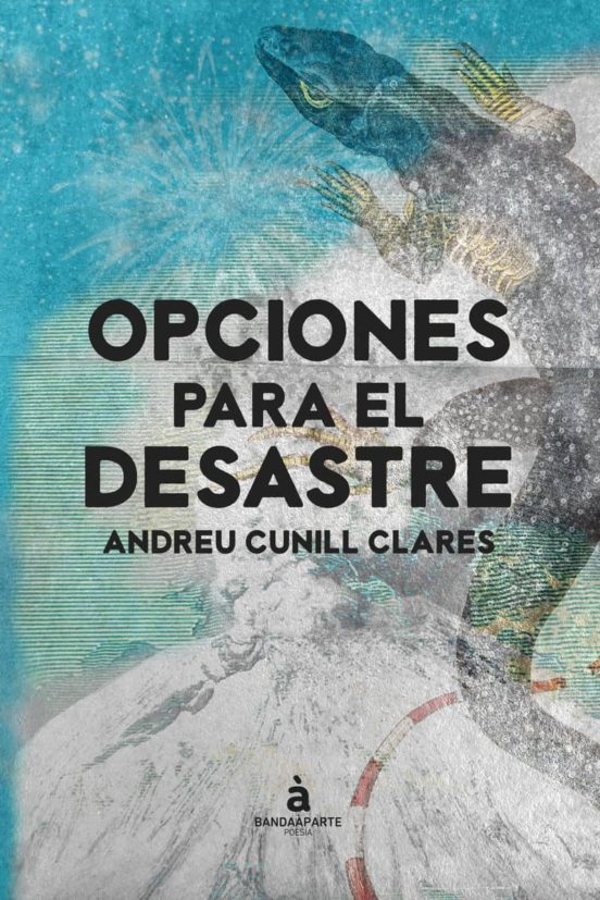 Opciones Para El Desastre