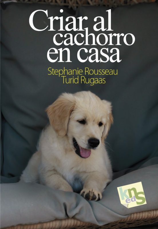 Criar Al Cachorro En Casa