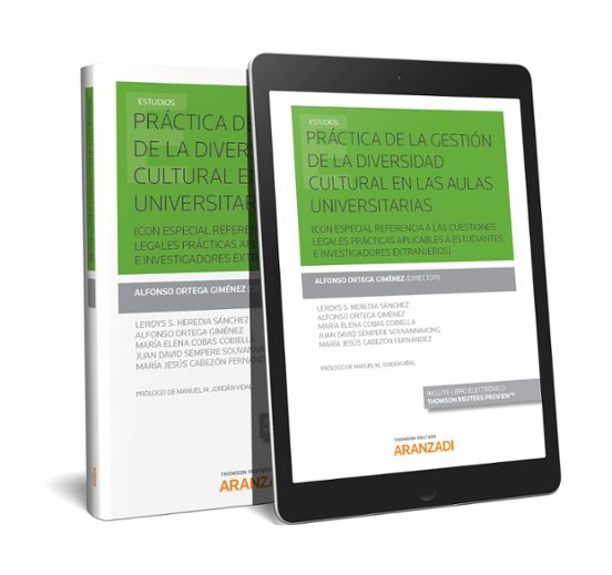 Libro Práctica De La Gestión De La Diversidad Cultural