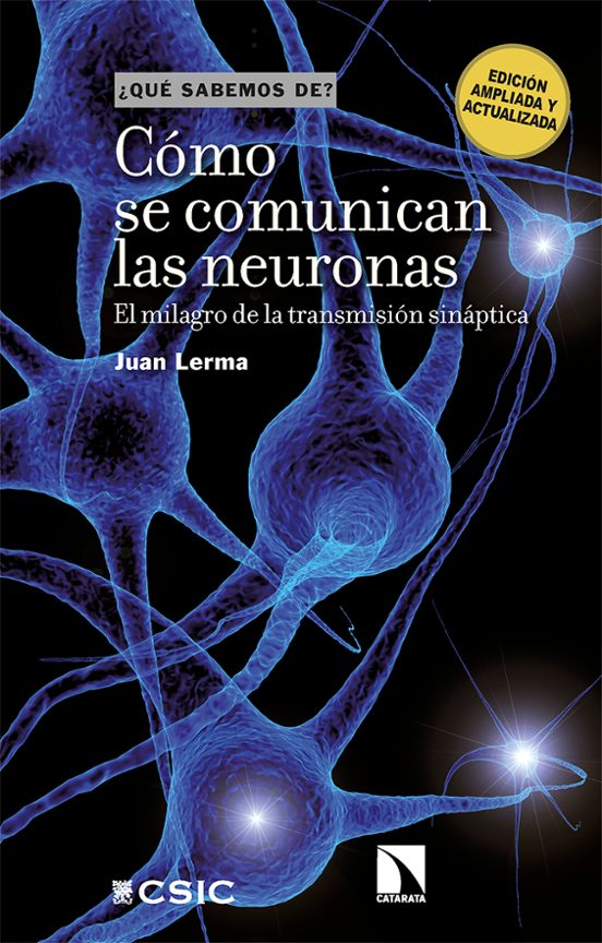 Cómo Se Comunican Las Neuronas