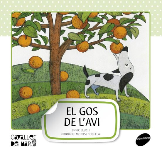 El Gos De L Avi
