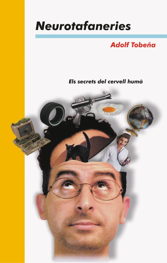 Neurotafaneries Els Secrets Del Cervell Humà