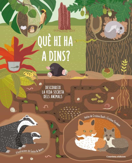 Què Hi Ha A Dins?
