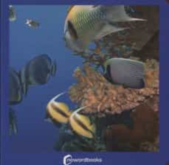 Animales Marinos