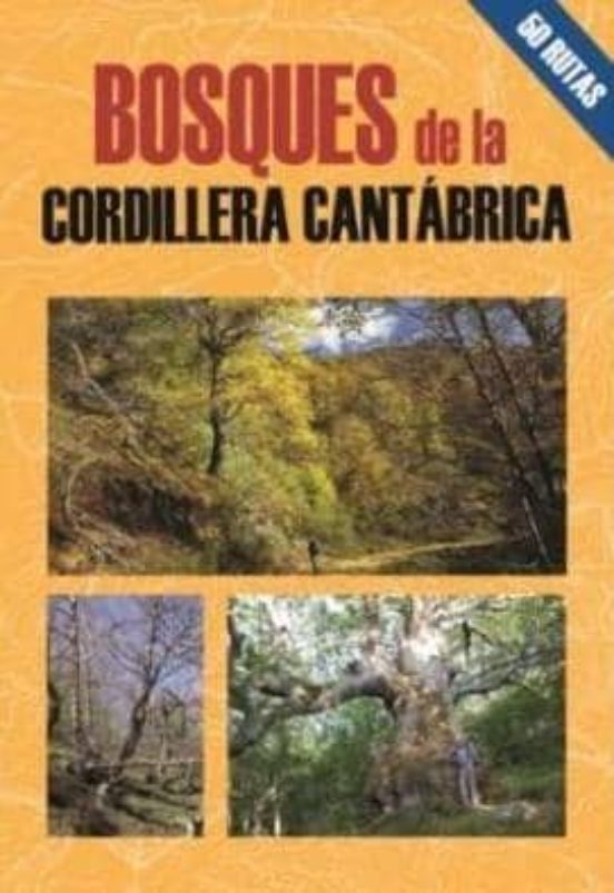 Cordillera Cantabrica Las Mejores Excursiones