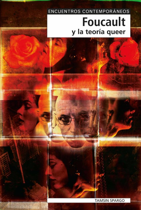 Foucault Y La Teoría Queer