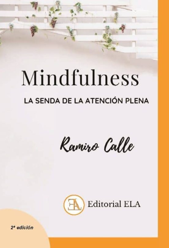 Mindfulness: La Senda De La Atención Plena
