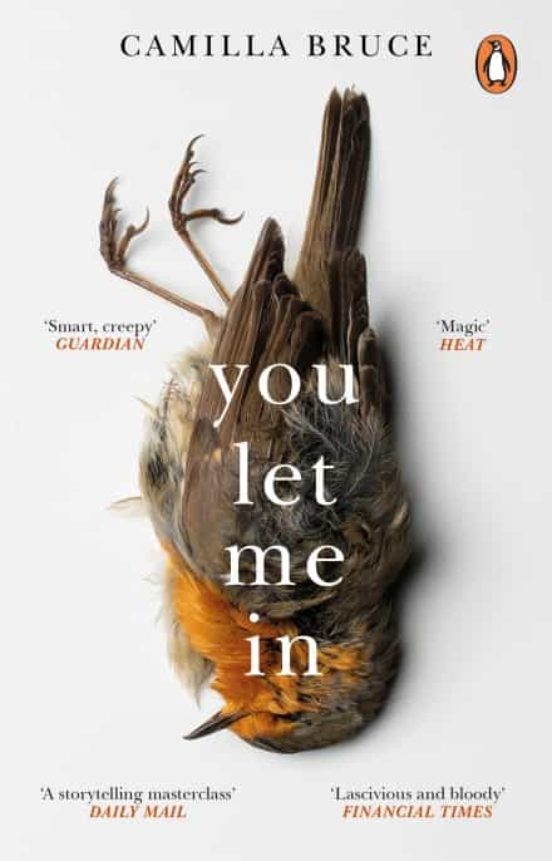You Let Me In : The Acclaimed Unsettling Novel Of Haunted Love Revenge