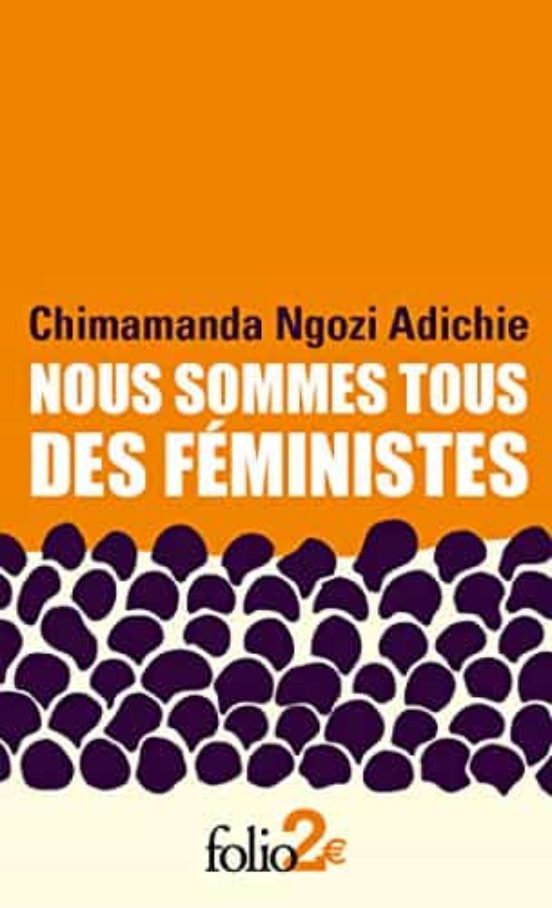 Nous Sommes Tous Des Féministes; Suivi De Le Danger De L Histoire Uniq