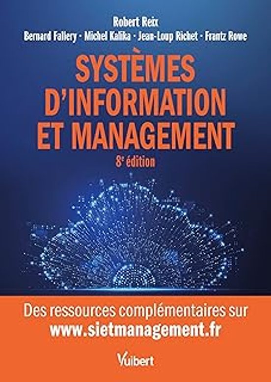 Systèmes D Information Et Management