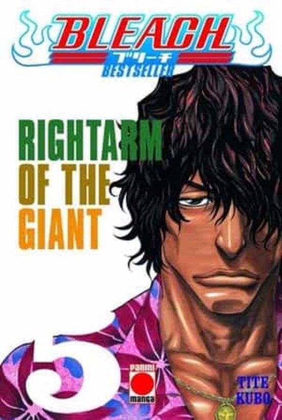 Bleach Bestseller 5