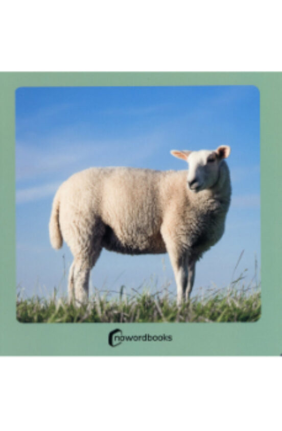 Animales De La Granja 2