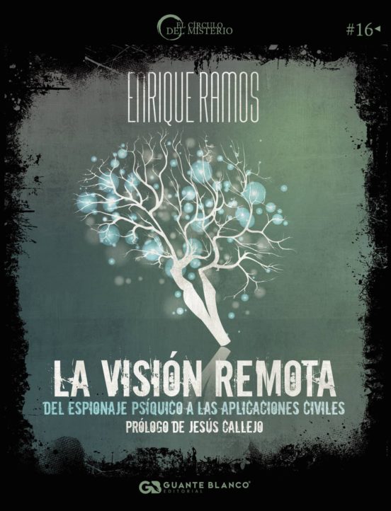 La Visión Remota