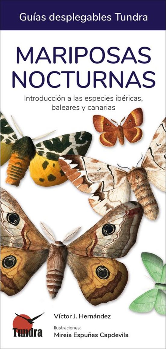 Mariposas Nocturas. Introduccion A Las Especies Ibericas Baleares Y Ca