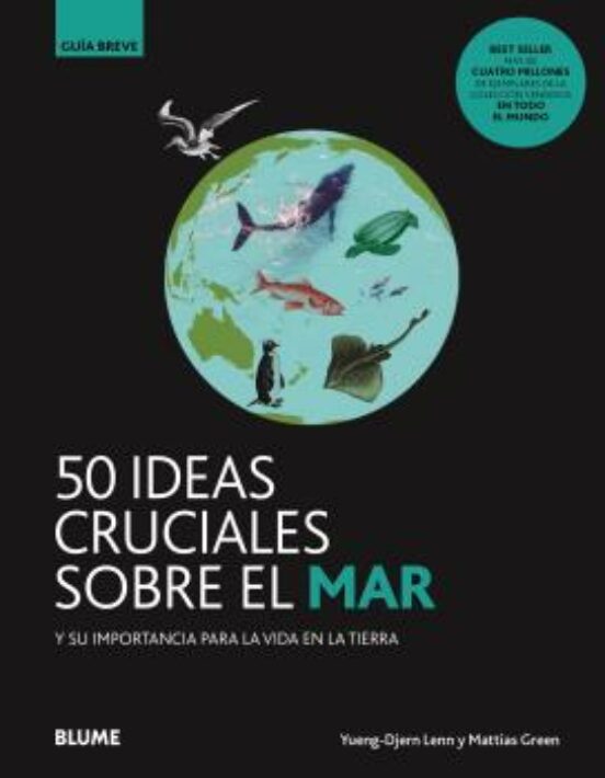 50 Ideas Cruciales Sobre El Mar