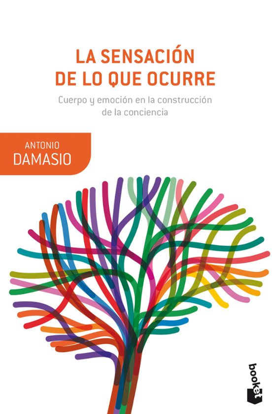 La Sensacion De Lo Que Ocurre: Cuerpo Y Emocion En La Construccion De