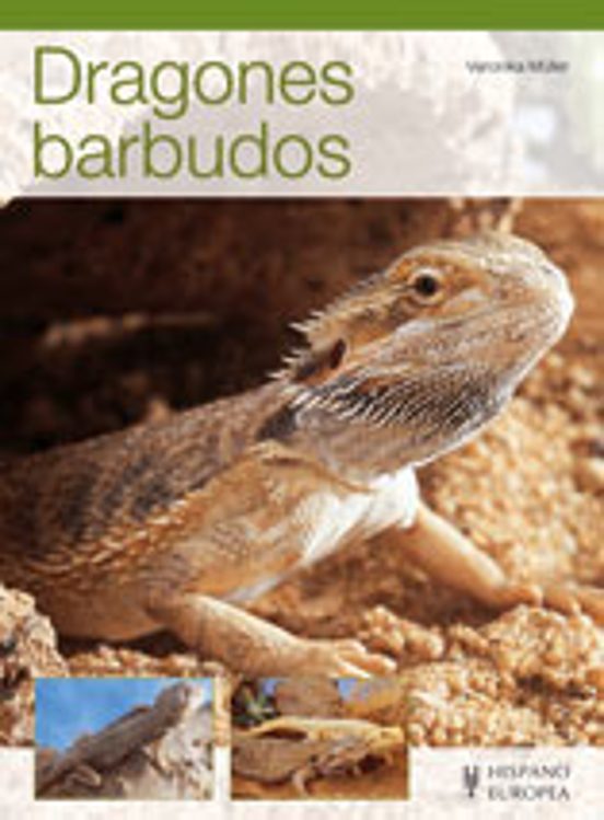 Dragones Barbudos