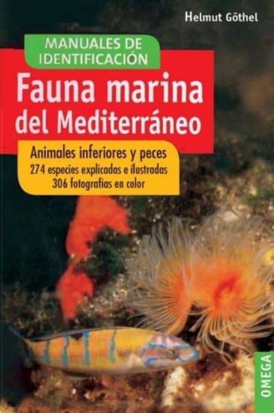 Fauna Marina del Mediterráneo : Animales Inferiores y Peces