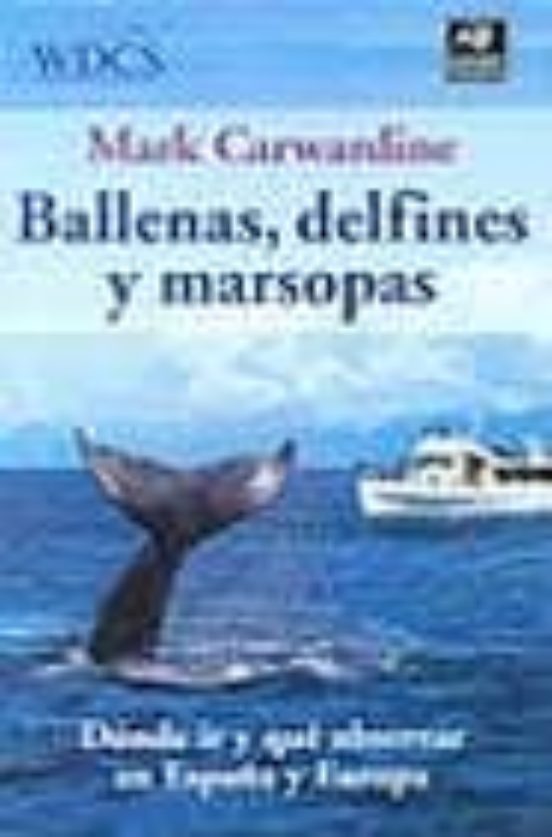 Ballenas Delfines Y Marsopas: Donde Ir Y Que Observar En España Y Euro