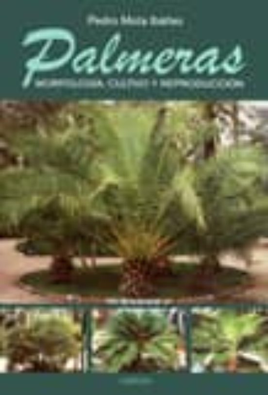 palmeras: morfologia cultivo y reproduccion