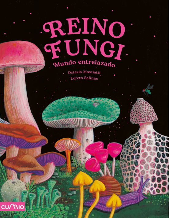 Reino Fungi