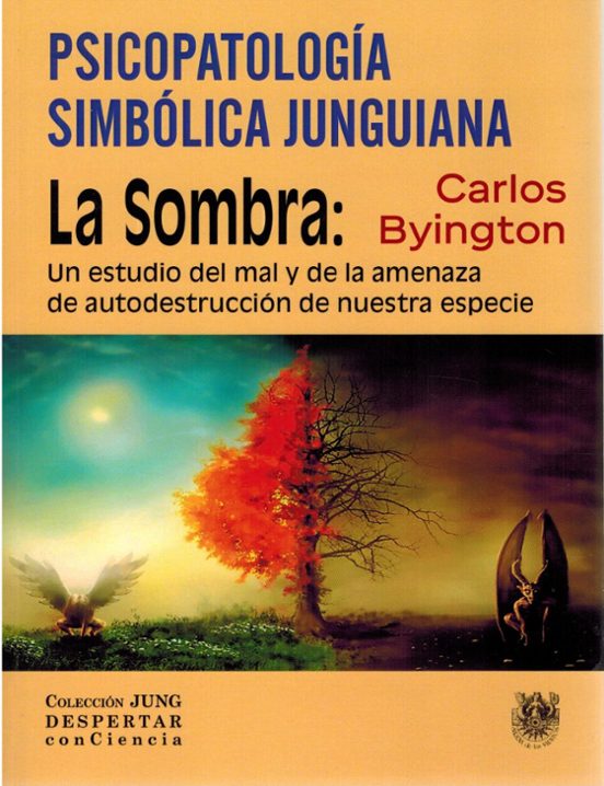 Psicopatologia Simbolica Junguiana La Sombra