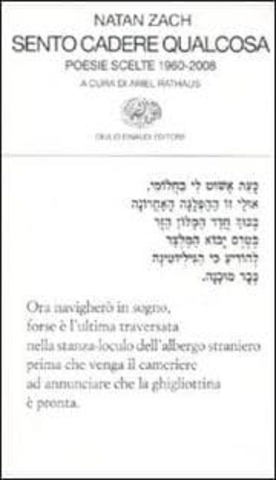 Sento Cadere Qualcosa Poesie Scelte 1960-2008
